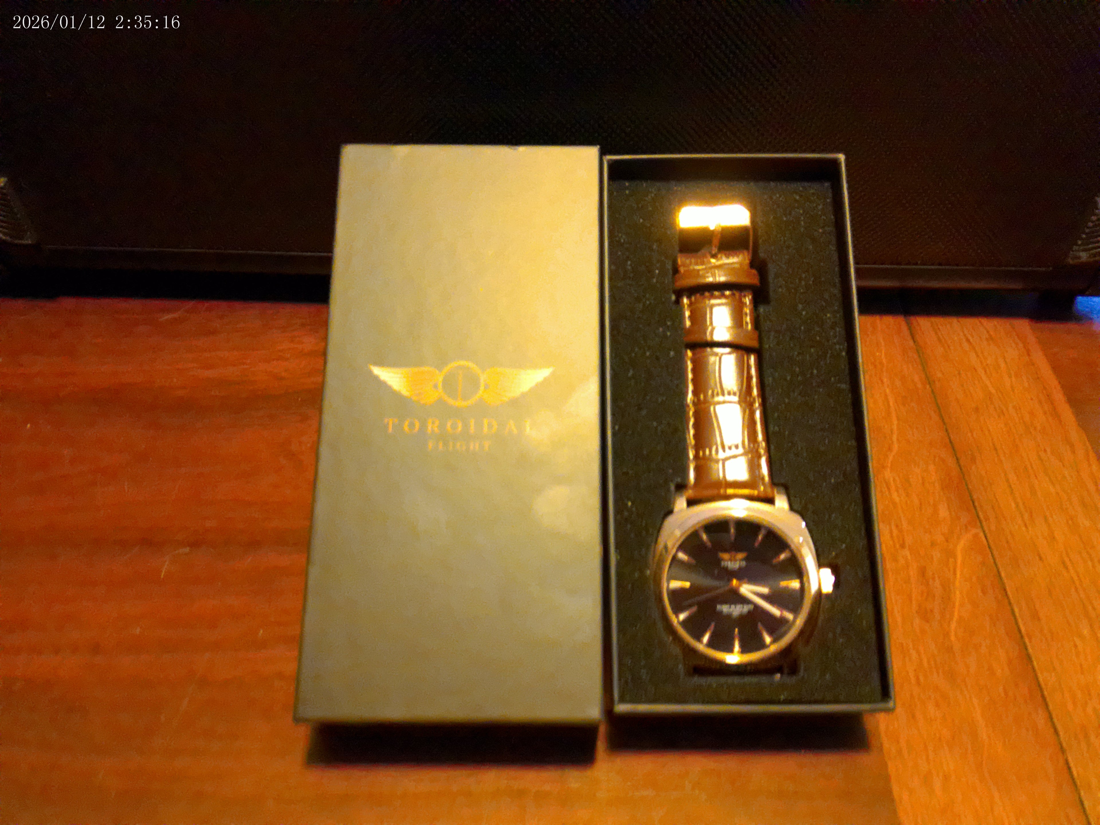2026 Wrist Mafia Toroidal Flight Men's watch